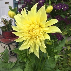 Meet your Posher, Cherry